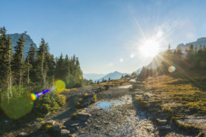 Montana Glacier National Park Hiking Trail Sunset Scenic Nature Landscape